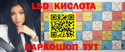 гашик Будённовск