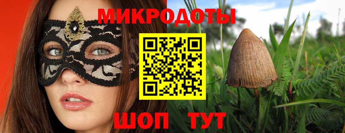 что такое   Вход с VPN  Раменское  Галлюциногенные грибы мухоморы 