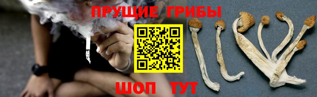 Галлюциногенные грибы мицелий Раменское
